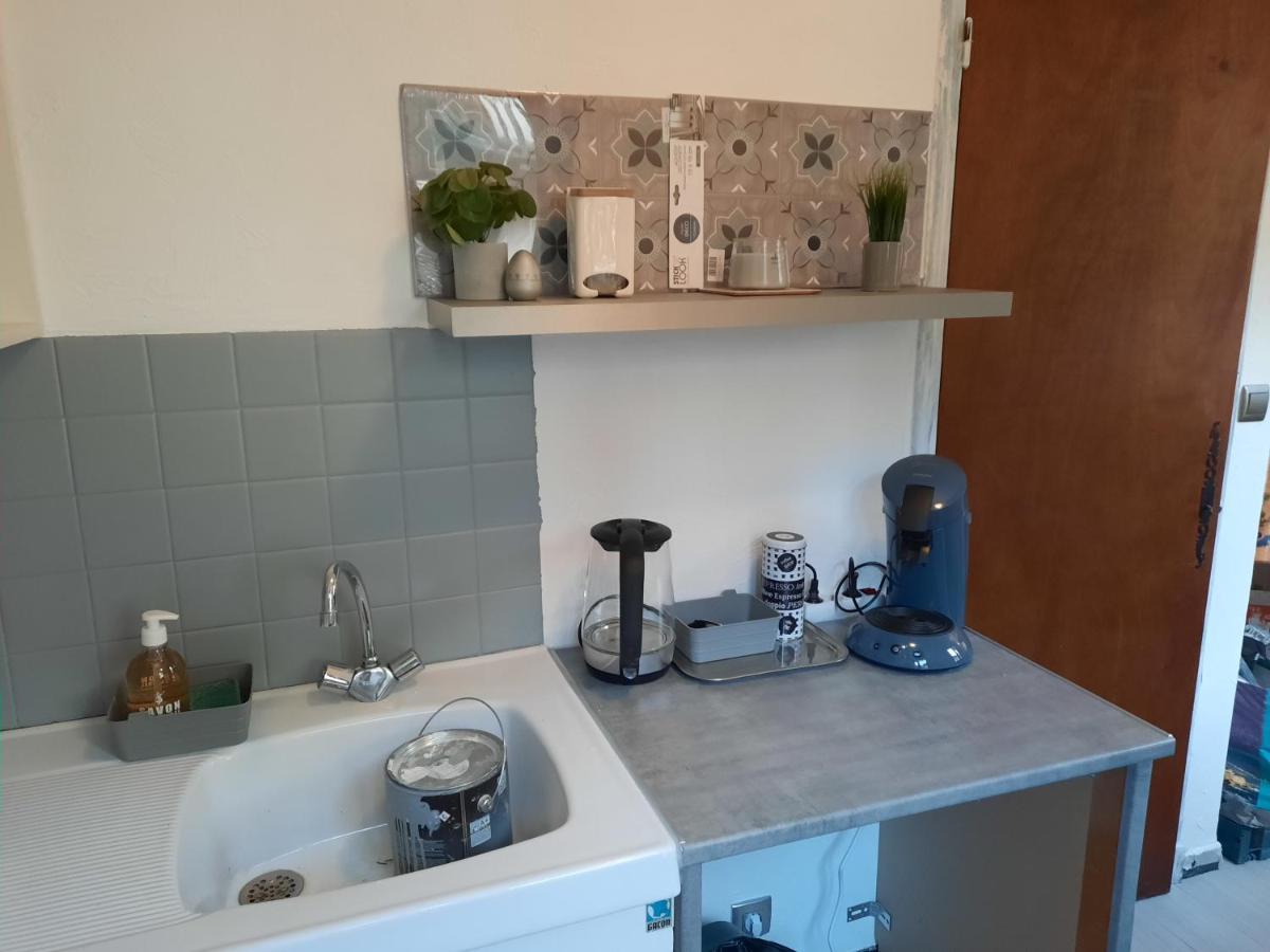 Studio Renove Au Coeur Du Village Saint-Martin-Vésubie Екстериор снимка